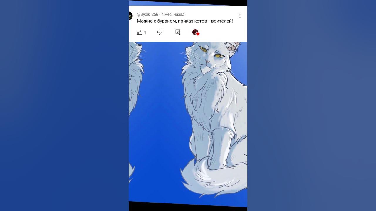 Спидран по заказам 😈 Буран коты-воители Эдит #возродимрукв #котывоители ...