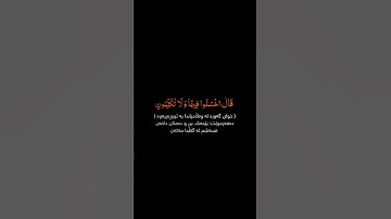 ياسر الدوسري| 🎧 |سورة المؤمنون | قالوا ربنا غلبت علينا شقوتنا وكنا قوما ضالين