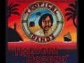 haruomi hosono - honey moon [1975]