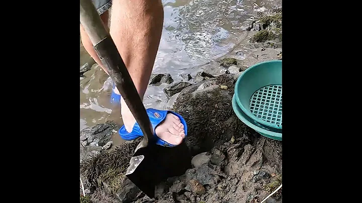 WHY! would he do this?