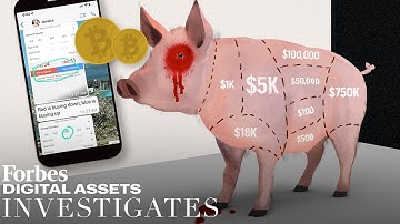 Investigating "Pig Butchering": Crypto