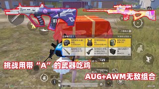 挑战用带“A”的武器吃鸡，AUG+AWM无敌组合，太强了