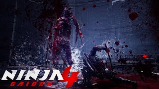 How Lore Accurate Ryu Hayabusa Fights in NG4