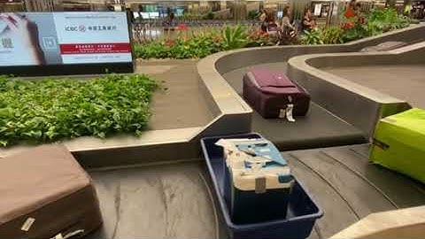 Transforming conveyor automation l conveyor belt can move packages in any direction