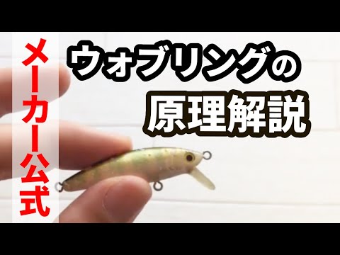 ルアーの基本アクションに注目 釣れるアクションを搭載したおすすめアイテム特集