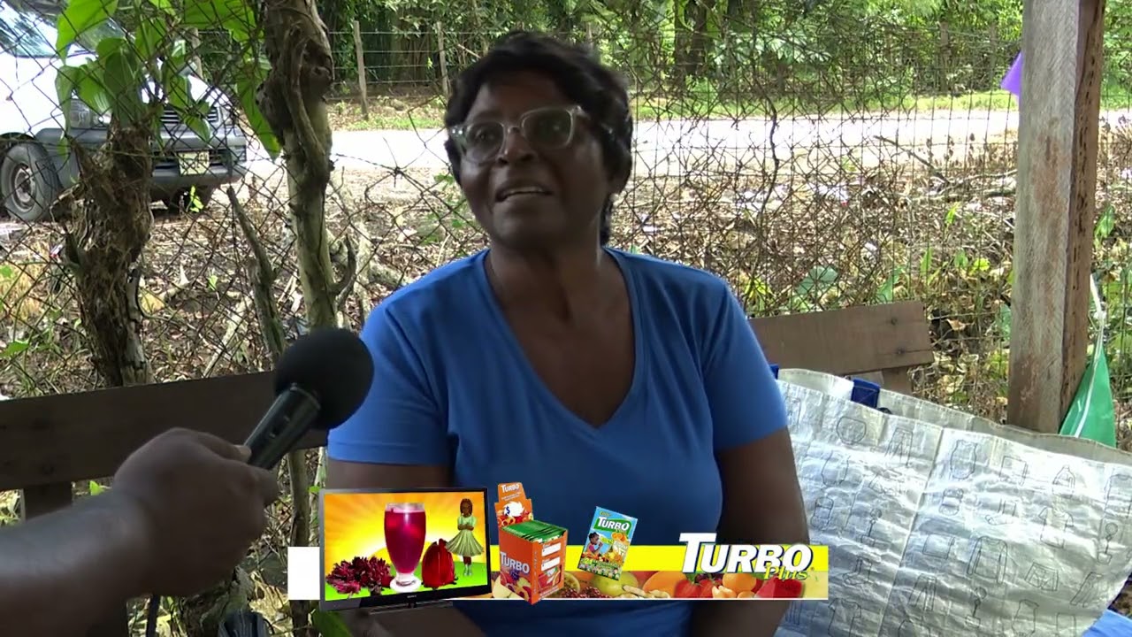Surinaamse Orchideeën Vereniging organiseert driedaagse bazaar - Tbn Prime Alert 31 Juli 2026