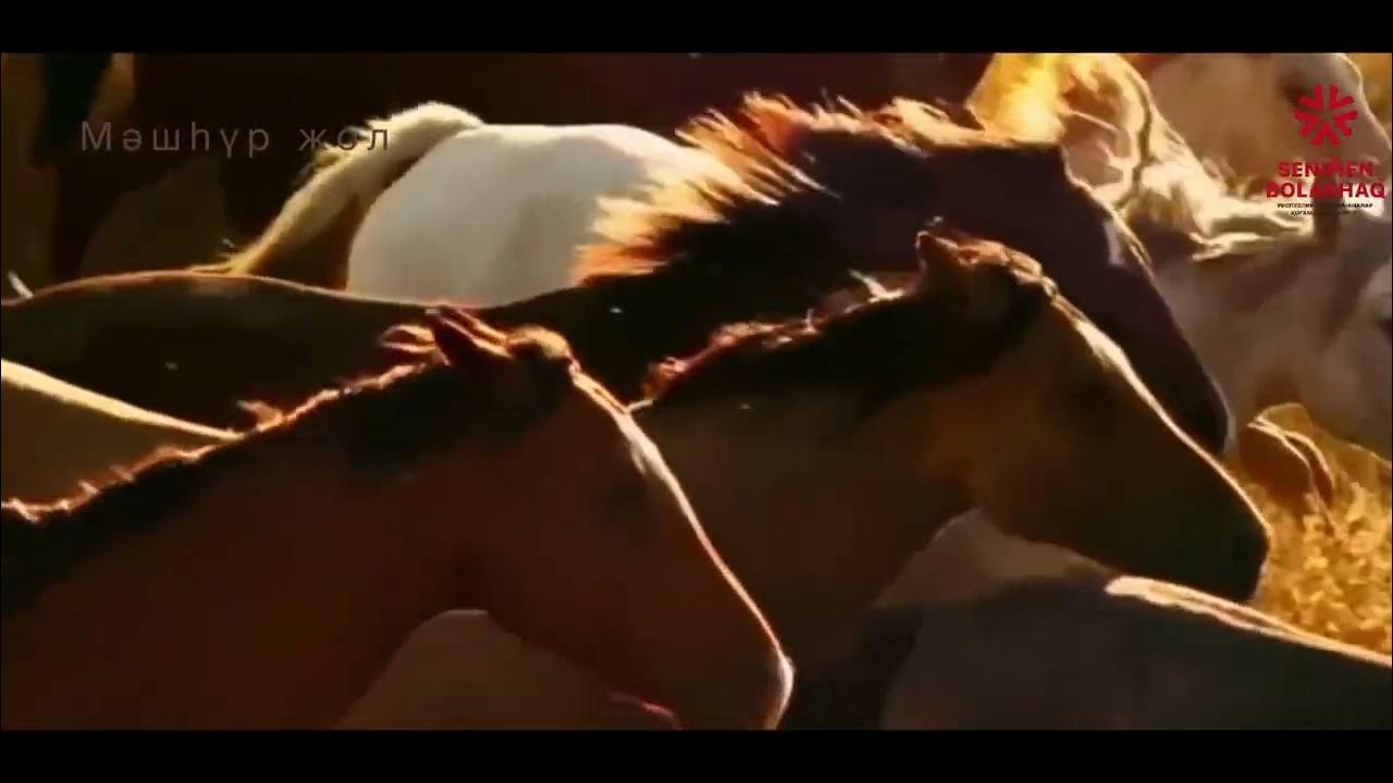 Маймыл рокер секс машинасының суреттері