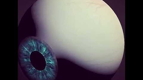 My eyes :) #arkit | 3D Augmented Reality apps