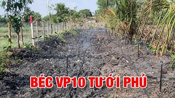 Béc VP10 tưới phủ, Béc Phun Mưa tưới phủ liếp hiệu quả