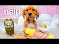 Puppy Takes Her First Bath...