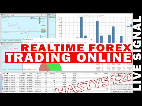 Hasty512 Forex Live Trading EA Broadcast.