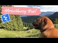 Hirschberg MTB Trail in Kreuth mit Traildog Paula