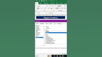 How to Hide Number #excel #msexcel #shortsvideo #eleganceacademy #ytshorts #tricks #shorts #hide