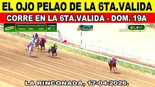 ESTA YEGUA, ES EL OJO PELAO DE LA 6TA.VALIDA EN LA R17 🟢#larinconada #19abr 🍀#17abril