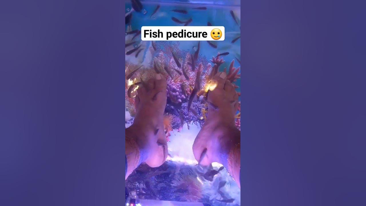 is-fish-pedicure-safe-youtube