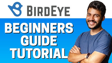 How to Use BirdEye - Beginners Guide 2022