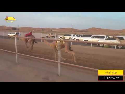 الشوط 6 شاهين لـ سيف معيوف سالم الدرعي شارة الصنوق السبت 2018 05 26 الرقيعات حقايق 