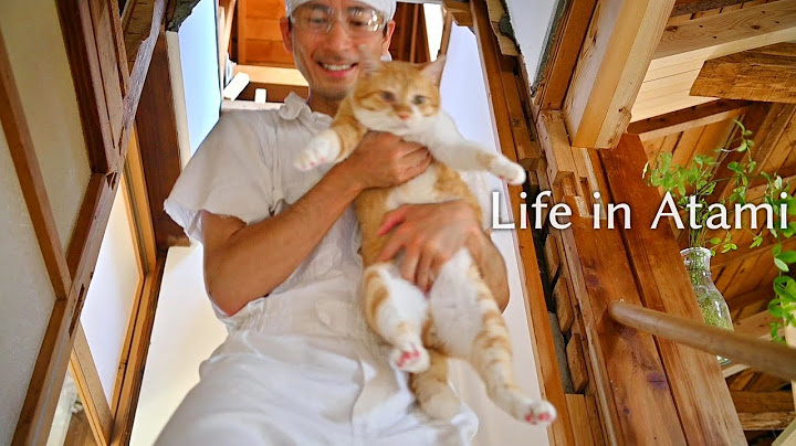#118 The small paradise created by a cat-loving man