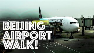 4K China Airport Tour : PEK Beijing Airport (Capital International) Terminal 3 : 北京首都国际机场 : China