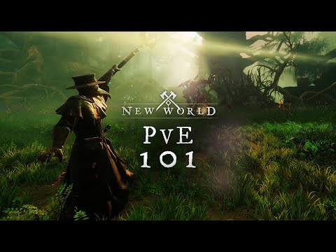 : 101 PvE