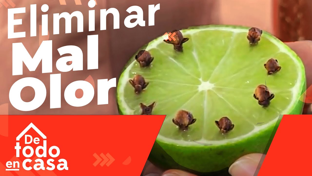 Cómo Eliminar Los Malos Olores - De Todo En Casa - YouTube