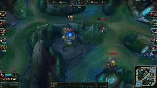 Blue buff bug