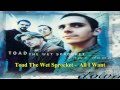 Toad the wet sprocket  all i want