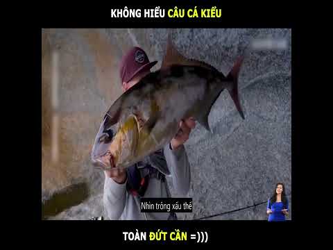 Video Thử thách câu cá dưới các vách đá nguy hiểm và kết quả... - youtube