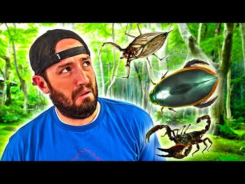 FEAR FACTORY (Spacestation Edition)