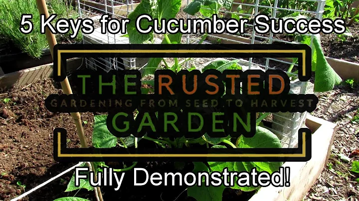 For New Gardeners - 5 Keys for Growing Cucumbers S...