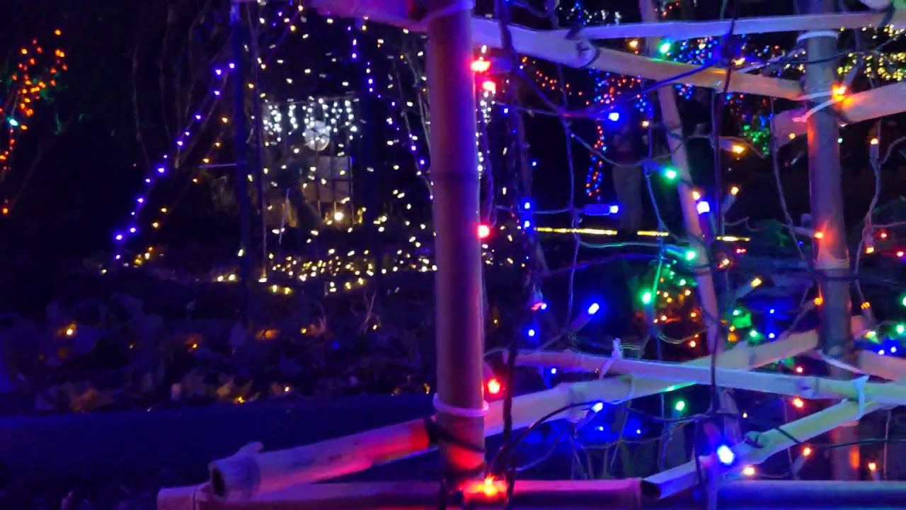 Holiday Wonders at the Garden Memphis Botanic Garden 2020 Christmas