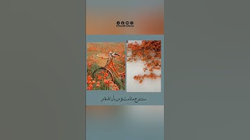 ان وعد الله حق | حالات واتس دينية | تلاوات هادئة