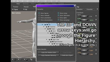 Poser Tutorial: Quick Pose