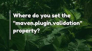 Where do you set the "maven.plugin.validation" property?