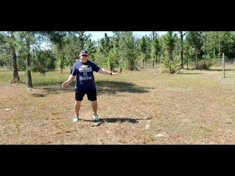 e Age:Continental Drift: The Sid Shuffle