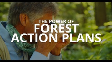 The Power of Forest Action Plans.