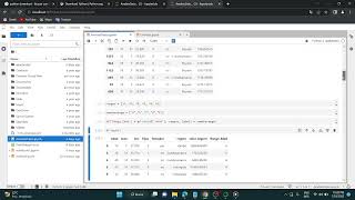 ANÁLISIS EXPLORATORIO DE DATOS EN PYTHON - SILVIA A