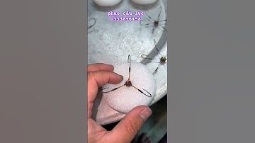 lưỡi câu cá ( tam xoài gấp 9 mini chuyên đánh tỳ vuốt siêu bén 90k/c)