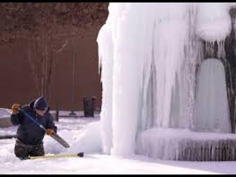 Can Pine Tree Explode To Extreme Cold