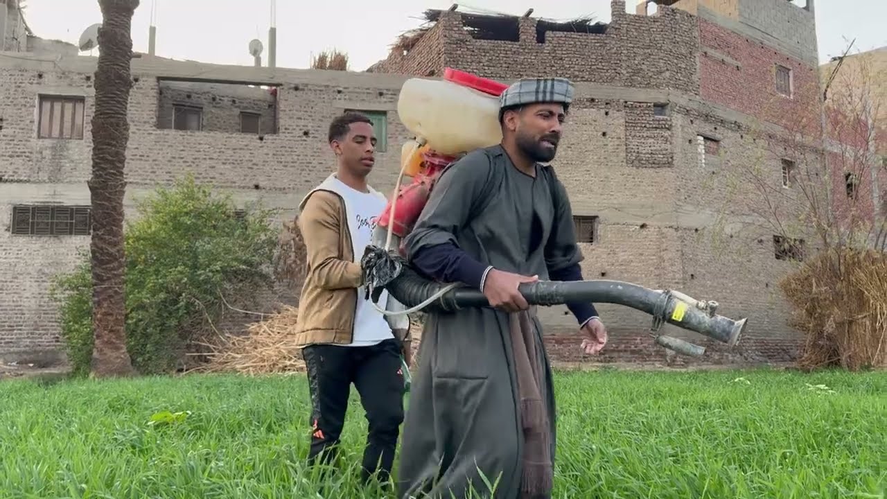 الحاج صديق بيرش ســم للقمح  😂فــصلان ضحك