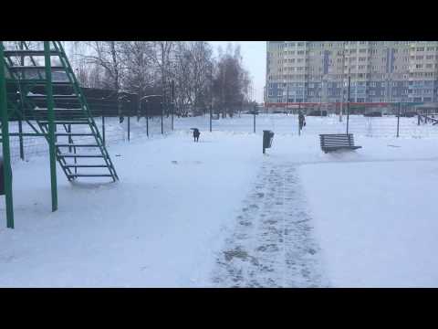 Ирма на собачьей площадке. Прогулка на собачьей площадке. Прогулка с собакой. / Dog walk.