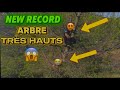 IL L’A FAIT ! RECORD dans les arbres malgré les attaques 😱🐝🐜