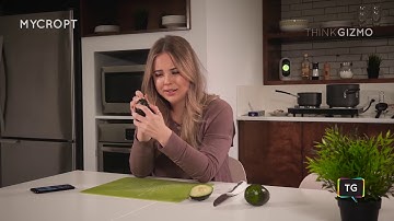 Mycroft Open Source Voice Assistant