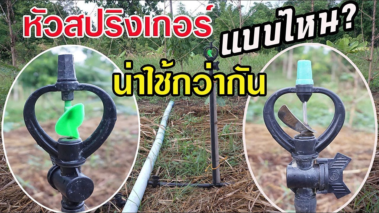 หัวสปริงเกอร์แบบไหน? น่าใช้และใช้ดีทีสุด มาดูเฉลยกันครับ