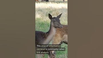 Link Analysis | Unit 4 | CS8080