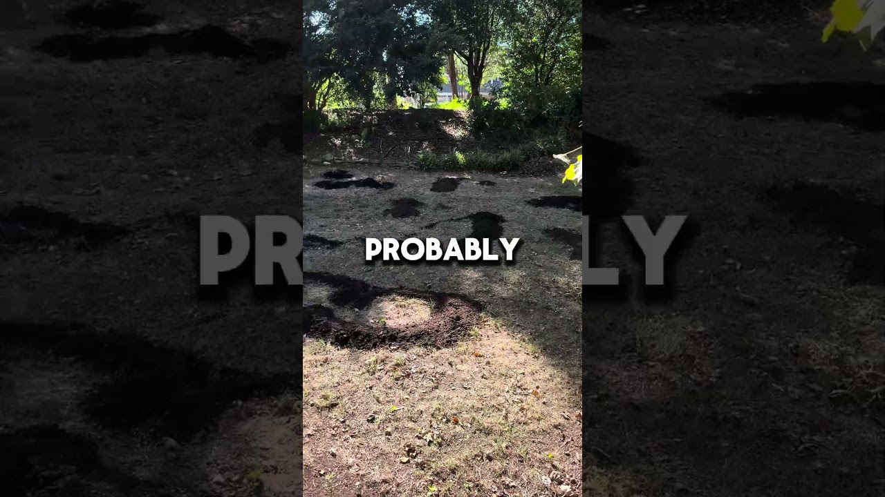 Fixing my destroyed yard from summer