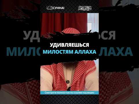 Удивляешься милостям Аллаха || Сирадж Абу Тальха