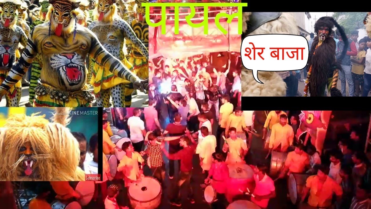 Sher baja payal dhumal GONDIA mayhem sher tune and dance 9960096024