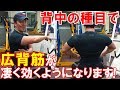 背中のトレーニングで広背筋を意識するための練習法!器具なしで手軽に出来ます