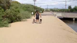 Gus and Haji walk